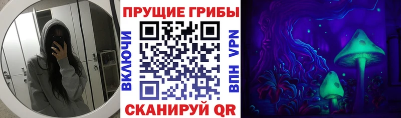 Галлюциногенные грибы MAGIC MUSHROOMS  наркотики  Малгобек 